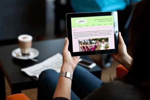 Screenshot of new Japlene website on iPad