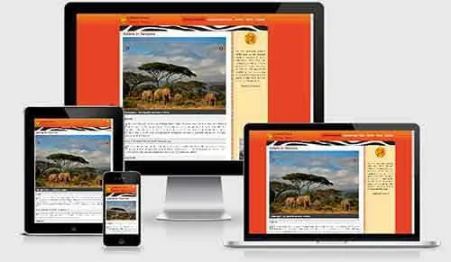 Responsive web design