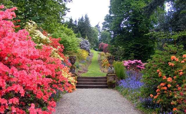 Support and maintenance for websites